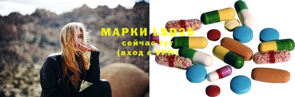 гашик Алзамай