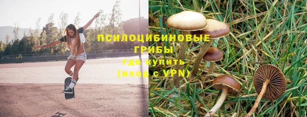 гашик Алзамай