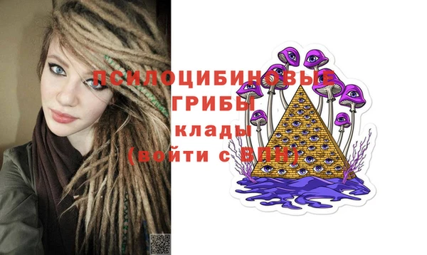 спиды Алексин