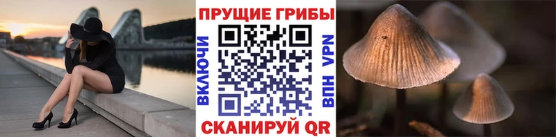 как найти закладки  Чебаркуль  Псилоцибиновые грибы прущие грибы 